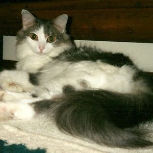 Meet your Posher, Jacqueline